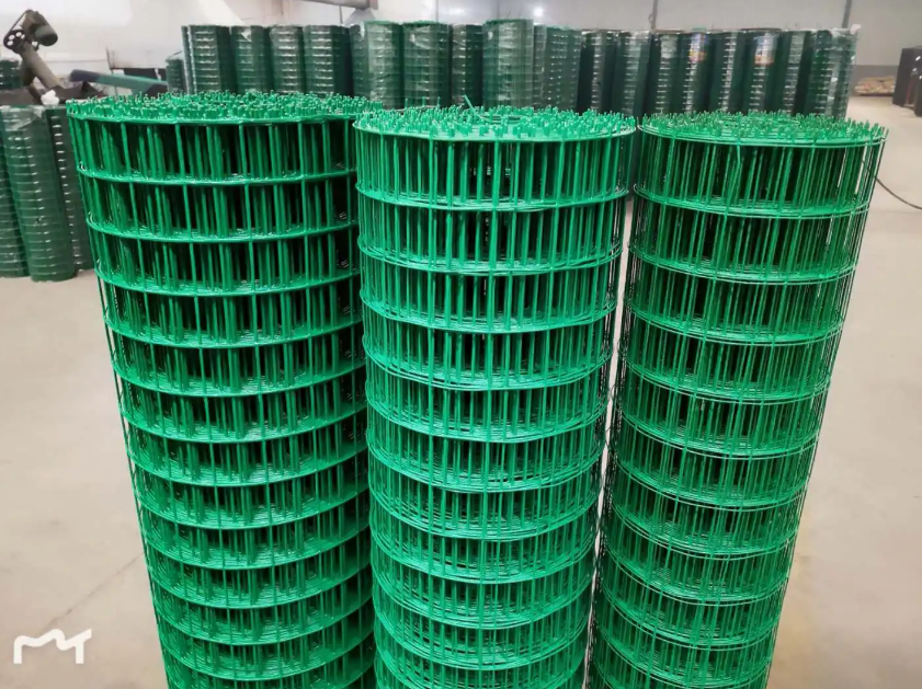 长丰荷兰网